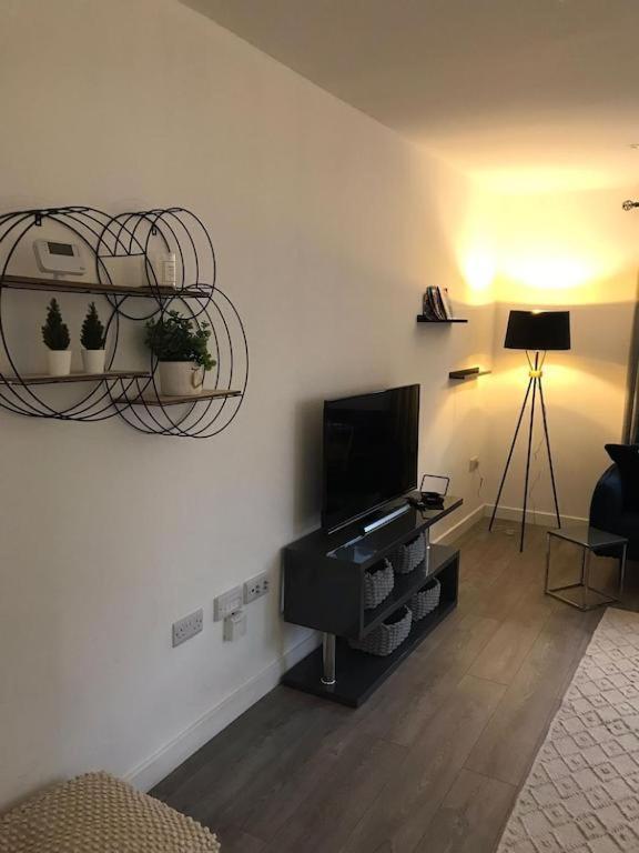 Apartmán Ella Court Devon Torquay Exteriér fotografie
