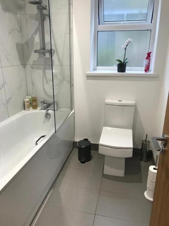 Apartmán Ella Court Devon Torquay Exteriér fotografie